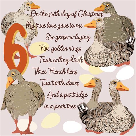 6th Day of our 12 FABulous Days! .